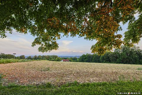 Gemeinde Gars_am_Inn Landkreis Mühldorf Winterberg Bildstock mit Baum Aussicht (Dirschl Johann) Deutschland MÜ